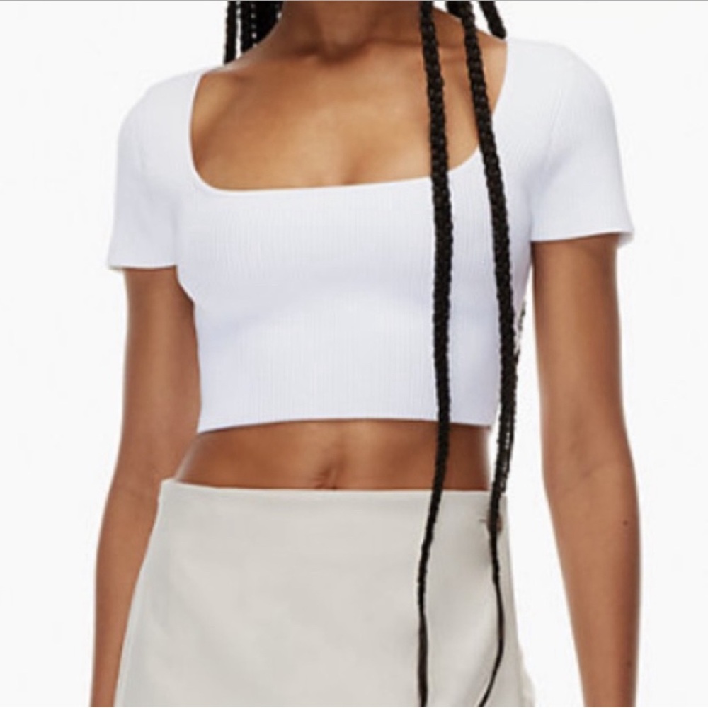 Aritzia Babaton Adelaide Sculpt Knit Top